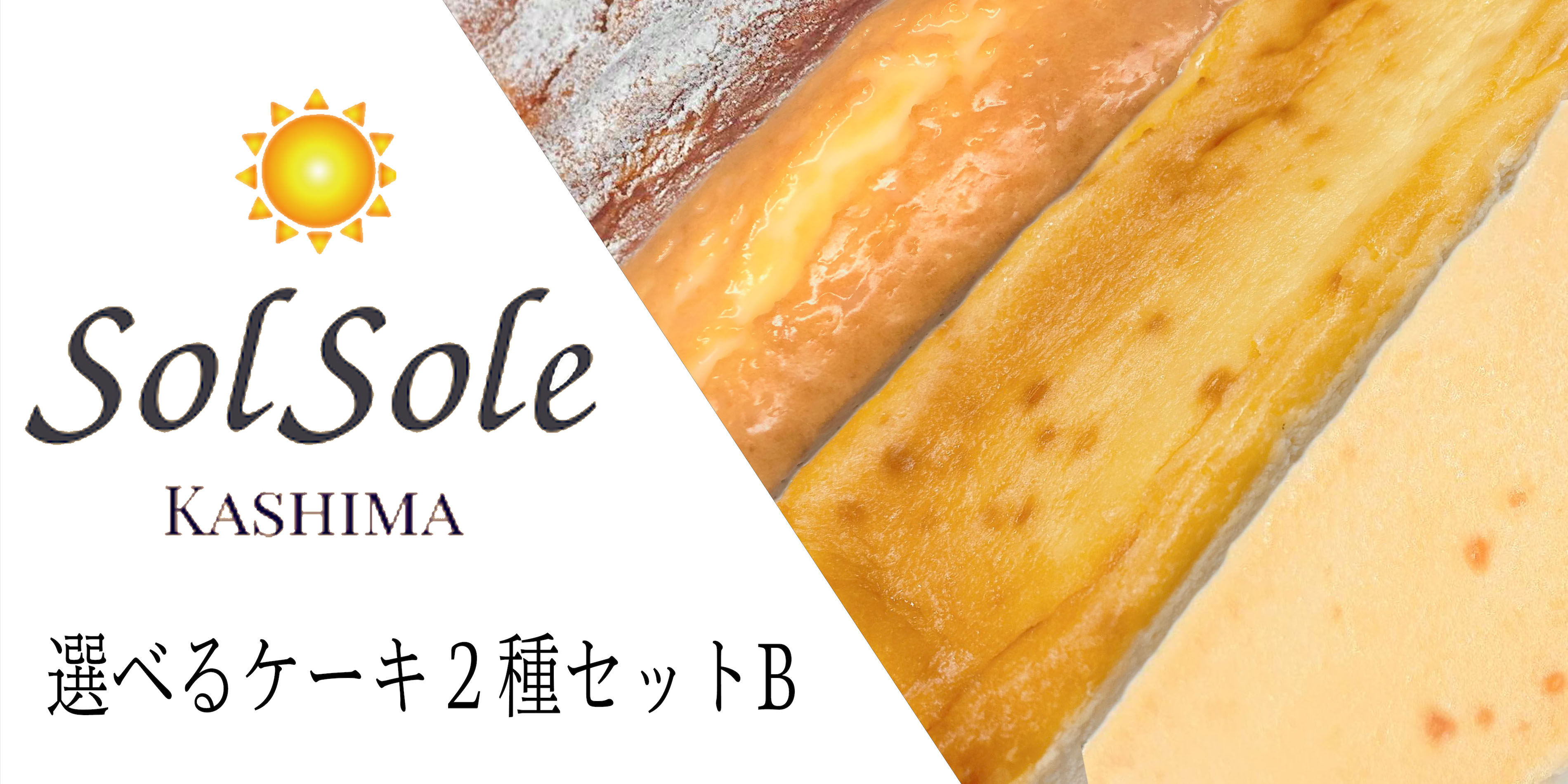 【ふるさと納税】Sol sole の 選べる ケーキ 2種 セットB 無添加 スイーツ デザート 茨城県 鹿嶋市 人気 ケーキ 送料無料 （KBM-6）