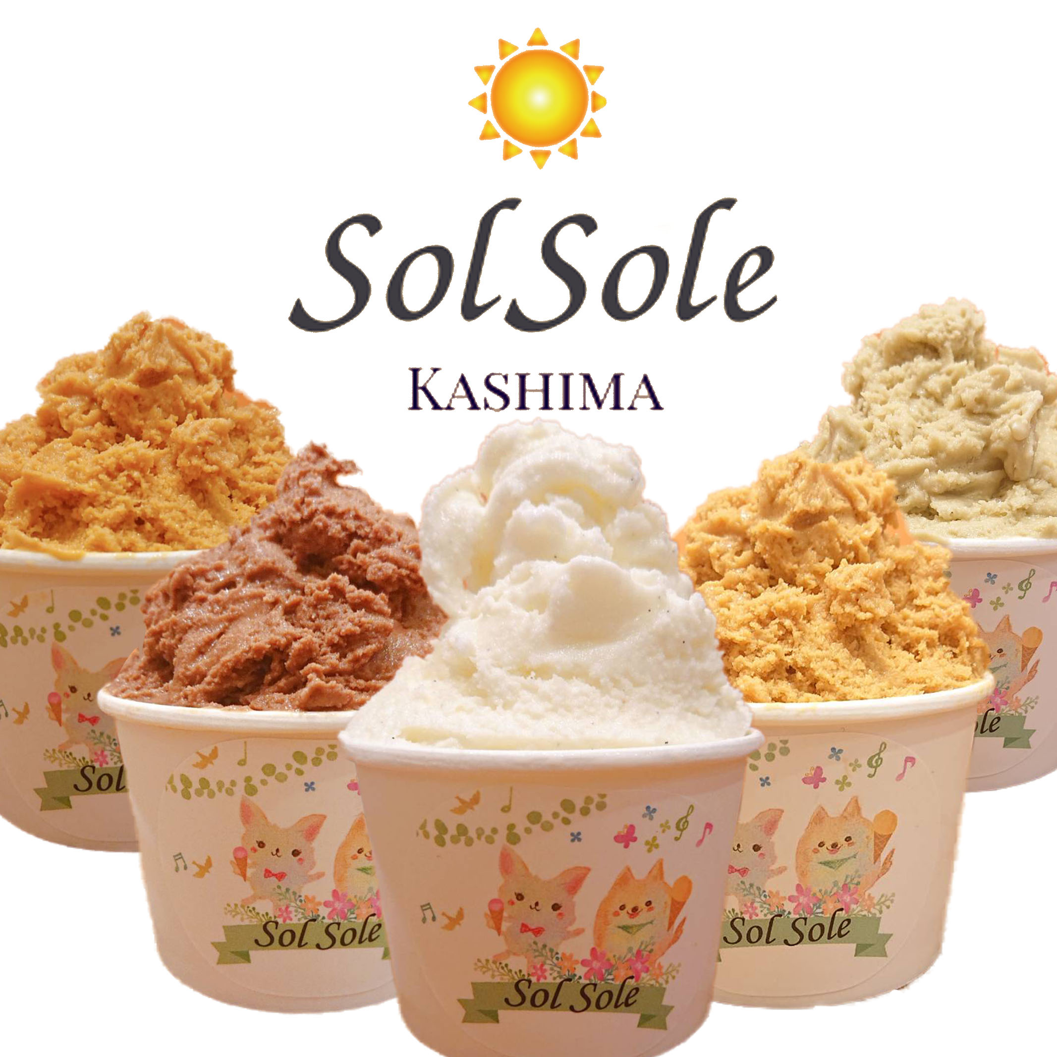 Sol soleのジェラート6種 6個入り 無添加　ジェラート スイーツ デザート 鹿嶋市　アイス 送料無料（KBM-1）