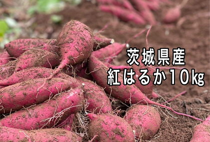 ポテト小屋の生さつまいも 10kg 送料無料　 さつまいも　紅はるか　鹿嶋市（KBR-4）