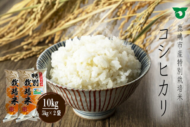 鹿嶋市の子どもたちが食べている 特別栽培米 コシヒカリ 5kg × 2袋 10kg 白米 こしひかり 精米 お米 米 茨城県産 国産 送料無料 産地直送（KBS-2）