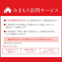 【ふるさと納税】郵便局のみまもり訪問サービス(12ヵ月)(KAN-2)