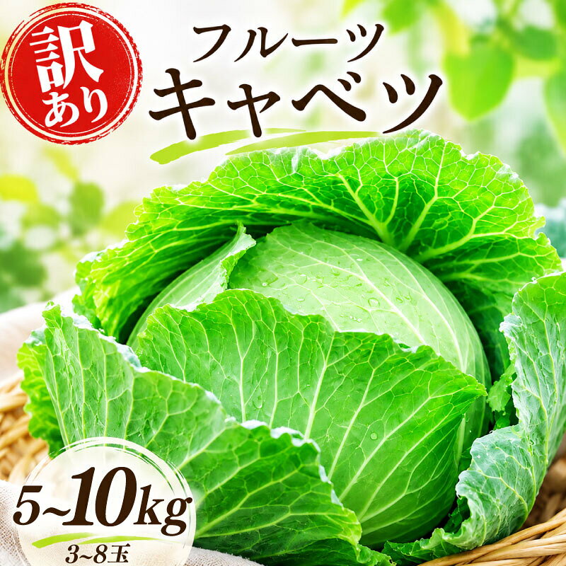 【ふるさと納税】 訳あり キャベツ 朝採れ 希少品種 フルーツキャベツ 約 5kg 10kg 選べる 3~8玉 旬の野菜 予約受付 事前予約 サラダ 生野菜 ロールキャベツ 煮物 キャベツ ふるさと納税 ふるさと納税キャベツ kyabetu 送料無料 茨城県 鹿嶋市 【2026年11月以降順次発送】