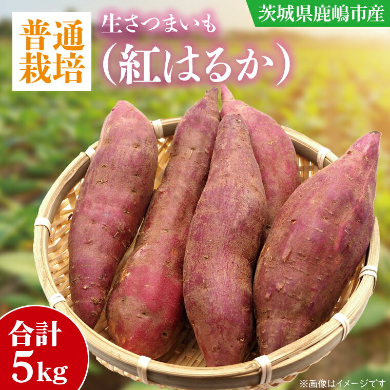 野菜・きのこ(サツマイモ)人気ランク4位　口コミ数「10件」評価「4.3」「【ふるさと納税】【先行予約】【10月中旬～11月末発送品】【普通栽培】紅はるか_生さつまいも(5kg) （KAG-36 ）」