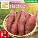 【ふるさと納税】【先行予約】【10月中旬～11月末発送品】【普通栽培】紅はるか_生さつまいも(5kg) （KAG-36 ）