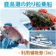 【ふるさと納税】KN-4　鹿島灘の釣り船乗船　利用補助券（3枚）