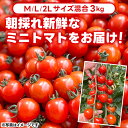 茨城県鹿嶋市の画像2