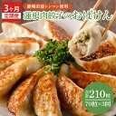 【ふるさと納税】【3ヶ月定期便】蓮根肉餃子のおばけん【70粒×3回】【野菜 ギョーザ れんこん しゃきしゃき おいしい ストック 茨城県 鹿嶋市】(KBU-22)