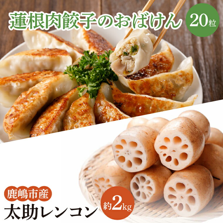 【ふるさと納税】【先行予約】【セット販売】太助レンコン&蓮根肉餃子のおばけん 【2kg&20粒】【野菜 ギョーザ れんこん しゃきしゃき おいしい 食べきり 茨城県 鹿嶋市】(KBU-4)
