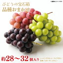 【ふるさと納税】【8月中旬より発送】【先行予約】ぶどうの宝石箱 【巨峰 シャインマスカット コトピー 粒どり 茨城県 鹿嶋市 葡萄 ブドウ】(KAE-18)