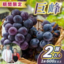 【ふるさと納税】レストランのプロが育てる!鹿嶋市産 ぶどうの王様「巨峰」2房(大粒600g以上/房) (KAE-16)