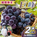 【ふるさと納税】レストランのプロが育てる!鹿嶋市産 ぶどうの王様「巨峰」2房(大粒800g以上/房) (KAE-17)