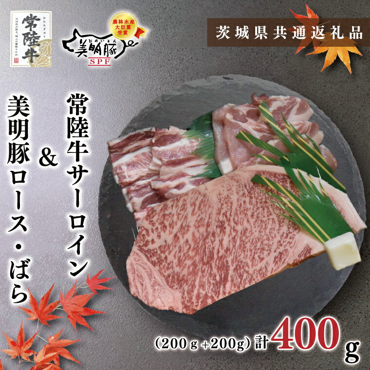 【ふるさと納税】【茨城県共通返礼品】【常陸牛A5ランク・美明豚ステーキ焼肉セット】常陸牛サーロイン200g＋美明豚200g ロース100g・ばら100g KCK-34 