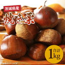 【ふるさと納税】【先行予約】【10月上旬より発送】焼き栗(茨城県産)【栗 くり マロン 焼き栗 低温熟成 茨城県 15000円以内 】(KCM-26)