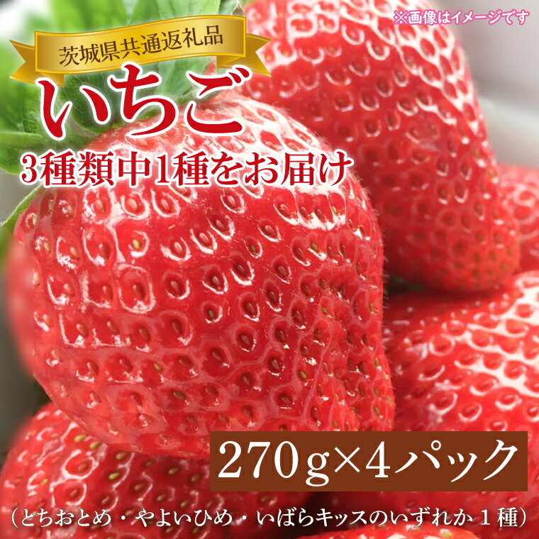 27位! 口コミ数「0件」評価「0」【先行予約】【1月中旬～3月中旬発送】【茨城県共通返礼品】いちご（とちおとめ・やよいひめ・いばらキッスのいずれか1種）270g×4パック　K･･･ 