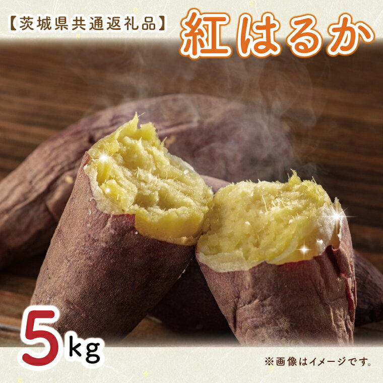 【ふるさと納税】【先行予約】【茨城県共通返礼品】さつまいも　紅はるか 5kg（水戸市・ひたちなか市・..