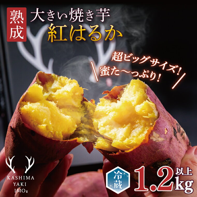 【ふるさと納税】【先行予約】熟成 大きい焼き芋(紅はるか)1.2kg以上 【超ビックサイズ!リピーター続出! 焼きいも 焼芋 焼き芋 焼きいも やきいも さつまいも 紅はるか 鹿嶋市】(KBK-48)
