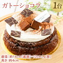 【ふるさと納税】ガトーショコラ (KCX-21)