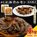 【ふるさと納税】かしまし豚ホルモン炭火焼き オリジナルたれ漬 約1kg(500g×2パック)(KDQ-7)