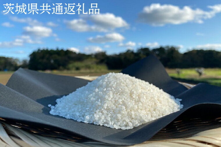 [栽培期間 農薬不使用]こしひかり 白米5kg[茨城県共通返礼品・行方市産] こしひかり 精米 お米 米 茨城県産 国産 送料無料 産地直送(KBE-50)