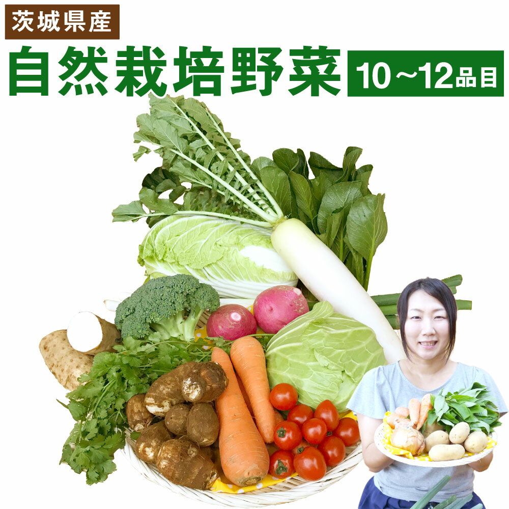 楽天茨城県鹿嶋市【ふるさと納税】 自然栽培 野菜 10〜12品目 野菜 季節の野菜 旬 自然栽培（栽培期間 農薬不使用 ） 詰め合わせ セット 茨城県産 国産 送料無料 野菜 産地直送（KBE-1）