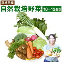 【ふるさと納税】 自然栽培 野菜 10〜12品目 野菜 季