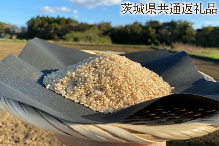 【ふるさと納税】【できるだけ農薬を減らした】こしひかり 玄米5kg【茨城県共通返礼品・行方市産】 こしひかり 玄米 お米 米 茨城県産 国産 送料無料 産地直送（KBE-26）