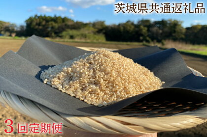 3ヵ月定期便【できるだけ農薬を減らした】こしひかり 玄米10kg×3回【茨城県共通返礼品・行方市産】 3ヶ月 定期便 こしひかり 玄米 お米 米 茨城県産 国産 送料無料 産地直送（KBE-31）