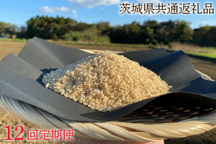 【ふるさと納税】12ヵ月定期便【できるだけ農薬を減らした】こしひかり 玄米10kg×12回【茨城県共通返礼品・行方市産】 12ヶ月 定期便 こしひかり 玄米 お米 米 茨城県産 国産 送料無料 産地直送（KBE-33）