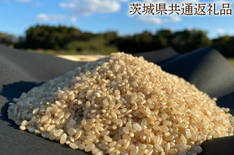 【ふるさと納税】【栽培期間 農薬不使用】こしひかり 玄米5kg【茨城県共通返礼品・行方市産】 こしひかり 玄米 お米 米 茨城県産 国産 送料無料 産地直送（KBE-42）