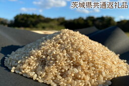 【ふるさと納税】【栽培期間 農薬不使用】こしひかり 玄米10kg【茨城県共通返礼品・行方市産】 こしひかり 玄米 お米 米 茨城県産 国産 送料無料 産地直送（KBE-46）