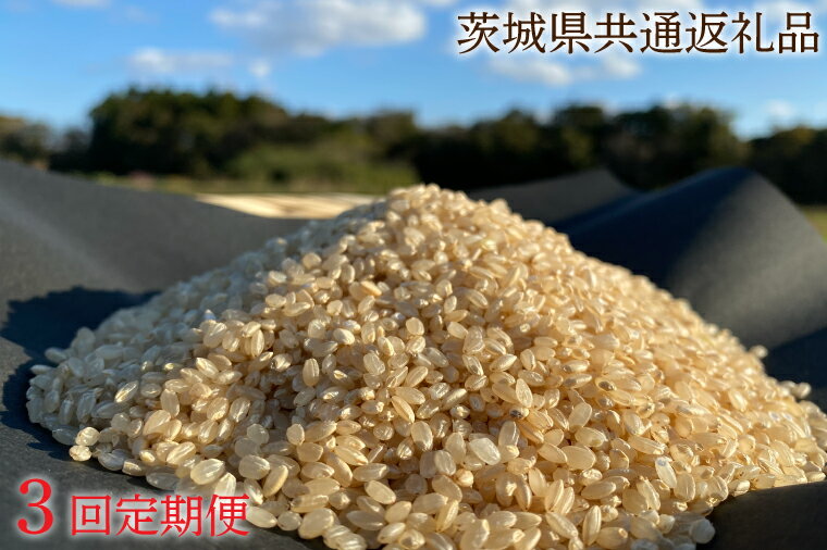 【ふるさと納税】3ヵ月定期便【栽培期間 農薬不使用】こしひかり 玄米5kg×3回【茨城県共通返礼品・行...