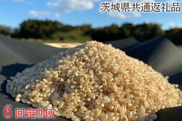 【ふるさと納税】【先行予約】【6ヶ月定期便】【栽培期間農薬不使用】R7年産 マキタ超こしひかり 玄米5kg×6回【茨城県共通返礼品・行方市産】【おいしい お米 マキタ 減農薬 安心 鹿嶋市】(KBE-93)