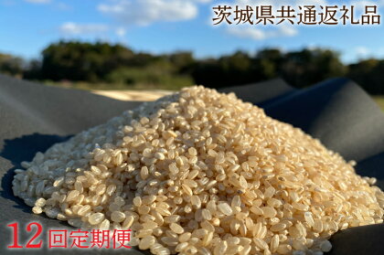 12ヵ月定期便【栽培期間 農薬不使用】こしひかり 玄米5kg×12回【茨城県共通返礼品・行方市産】 12ヶ月 定期便 こしひかり 玄米 お米 米 茨城県産 国産 送料無料 産地直送（KBE-45）