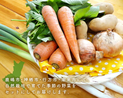 【 栽培期間 農薬不使用 】お米 と 季節の野菜（4〜5品）の セット お米 米 精米 野菜 産地直送 送料無料（KBE-8）