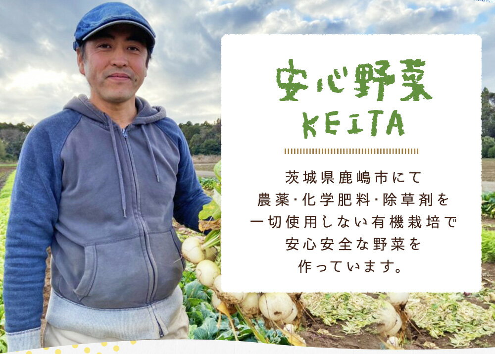 【ふるさと納税】旬の安心野菜「有機たまねぎ約5kg」（KAX-10）