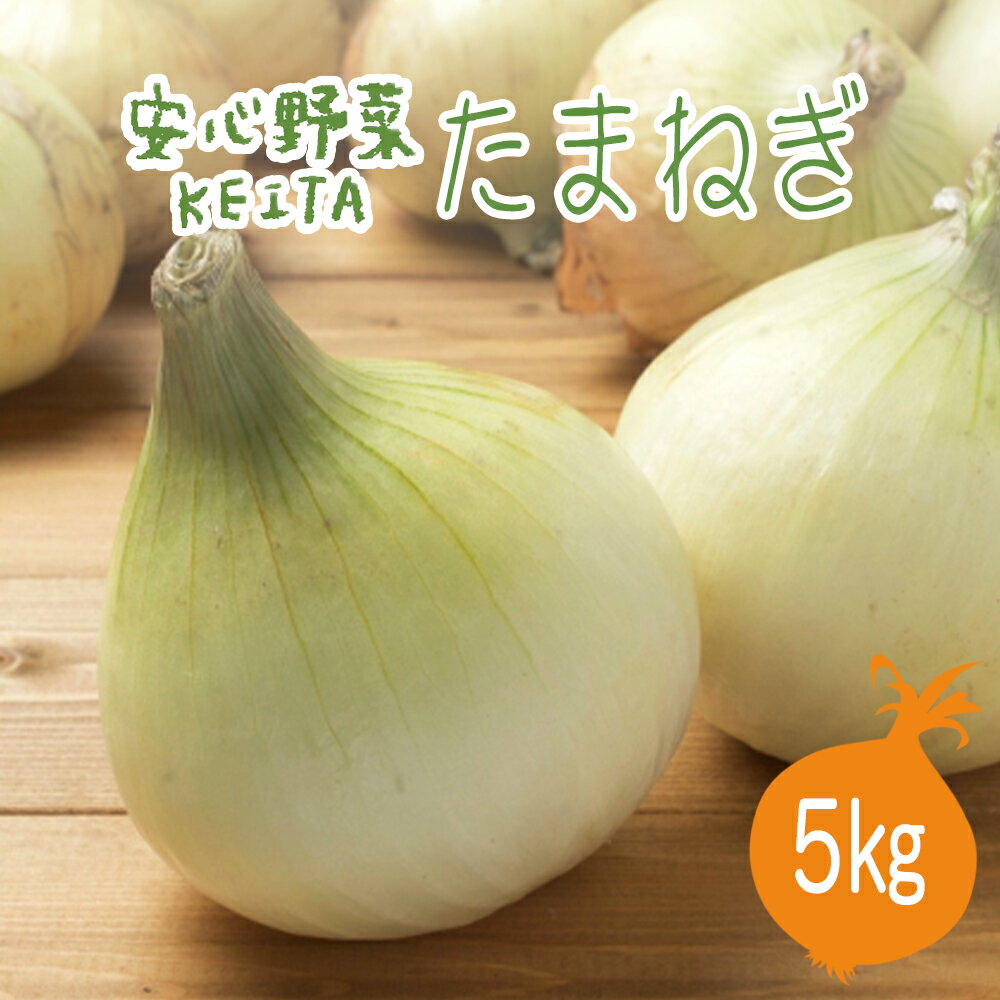 【ふるさと納税】旬の安心野菜「有機たまねぎ約5kg」（KAX-10）