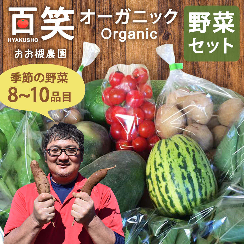 [3ヶ月定期便]百笑オーガニック野菜セット(8〜10品目)(KAG-2)