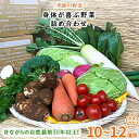 名称 自然栽培『身体が喜ぶ野菜』詰め合わせ(おまかせ)潮来はぐくみのもり 保存方法 冷蔵 発送時期 2022年5月中旬より順次発送 提供元 はぐくみのもり 配達外のエリア 離島 お礼品の特徴 微生物農法*やEM(Effective Microorganisms〈有用微生物群〉の略語)で野菜作りを40年続けていたり、肥料も植物性のものだけを使ったこだわりの熟成肥料でEM農法を35年続けていたり、平飼いの鶏の鶏糞を畑に循環して露地栽培を38年行っていたり、30年以上に及ぶ徹底したハウス管理のもと野菜づくりに励んだり&hellip;。 そんな熟練農家集団が丹精込めて作った美味しい野菜の贈り物です。 *微生物農法とは有効微生物や酵素作用によって地力を高め、安全で栄養価の高い美味しい農産物を増産する自然農法です。 ◆生産者の声◆ 食は毎日だから自然のものを!身体が喜ぶ、身体に優しいものを食べて欲しい。手間を惜しみなく使って育てています。 ■内容量/原産地: ●自然栽培野菜(季節の野菜、潮来市を含む近隣の鹿行地域産) ※種類はお任せで10種類お届けいたします。 ■賞味期限: 葉もの野菜は1週間から10日以内、根菜は10日〜20日以内 〈注意事項/その他〉 ●保管の際は直射日光の当たらない冷暗所にてお願いいたします。 ●涼しくて湿気のない場所が最適です。 ●気温が高くなってきたら、保管には冷蔵庫の野菜室がオススメです。 ●葉もの野菜は1週間から10日以内、根菜は10日〜20日以内にお召し上がりください。 ●季節により賞味期限は早まりますので、保管期間にかかわらず早めにお召し上がりください。 ※お届けする内容は季節により異なります。ご指定できません。予めご了承ください。 ・ふるさと納税よくある質問はこちら ・寄附申込みのキャンセル、返礼品の変更・返品はできません。あらかじめご了承ください。このお礼品は以下の地域にはお届けできません。 ご注意ください。 離島