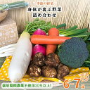 4位! 口コミ数「2件」評価「5」【ハーフサイズ】栽培期間農薬不使用『身体が喜ぶ野菜』詰め合わせ(おまかせ)潮来はぐくみのもり【1068674】