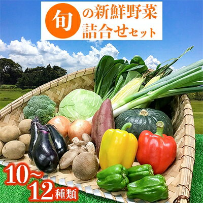 旬の新鮮野菜詰合せセット[配送不可地域:離島]