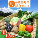 14位! 口コミ数「0件」評価「0」旬の新鮮野菜詰合せセット【配送不可地域：離島】【1239636】