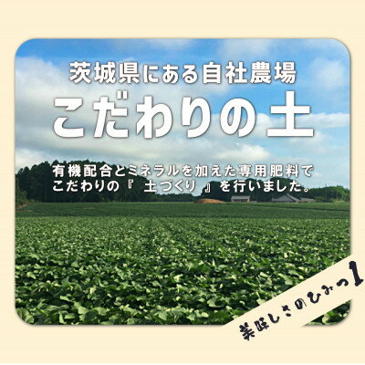 【ふるさと納税】芋屋久兵衛の紅はるか冷凍焼き芋500g×4パック(2kg)【配送不可地域：離島】【1446275】