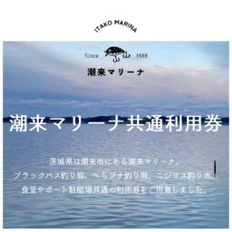 【ふるさと納税】潮来マリーナ　施設内共通6,000円分利用券【1487105】