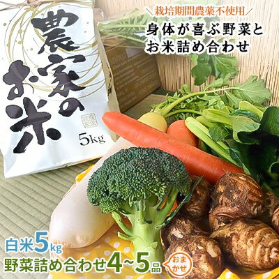 【白米5kg】栽培期間農薬不使用『身体が喜ぶ野菜とお米』詰め合わせ(おまかせ)潮来はぐくみのもり【1068676】