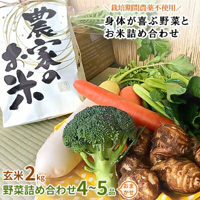 【玄米2kg】栽培期間農薬不使用『身体が喜ぶ野菜とお米』詰め合わせ(おまかせ)潮来はぐくみのもり【1069134】