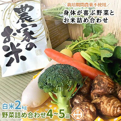 【白米2kg】栽培期間農薬不使用『身体が喜ぶ野菜とお米』詰め合わせ(おまかせ)潮来はぐくみのもり【1069135】