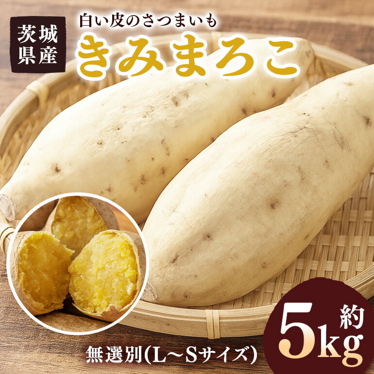 【ふるさと納税】 さつまいも きみまろこ 約5kg 無選別(L~Sサイズ) 茨城県産 卵 黄身 肉色 まろやか 口当たり 焼き芋 お菓子 白い皮のさつまいも 自然の甘み スイーツ 野菜 サツマイモ 茨城県 潮来市 (A52-006)