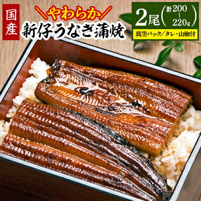 【ふるさと納税】国内産やわらか新仔うなぎ蒲焼2尾　合計200〜220g(食べ切りサイズ)【配送不可地域：離島】【1329497】