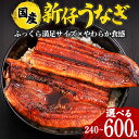 【ふるさと納税】 やわらか国内産 うなぎ蒲焼 満足サイズ! 選べる 2尾〜5尾 (120〜140g×2尾〜5尾) ふっくら蒲焼き ブランド鰻使用 秘伝のタレ・山...
