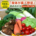 【ふるさと納税】 『身体が喜ぶ野菜』詰め合わせ ( おまかせ 10~12品) 野菜 詰合せ 詰め合わせセット お任せ 季節の野菜 セット 栽培期間中農薬不使用 ...
